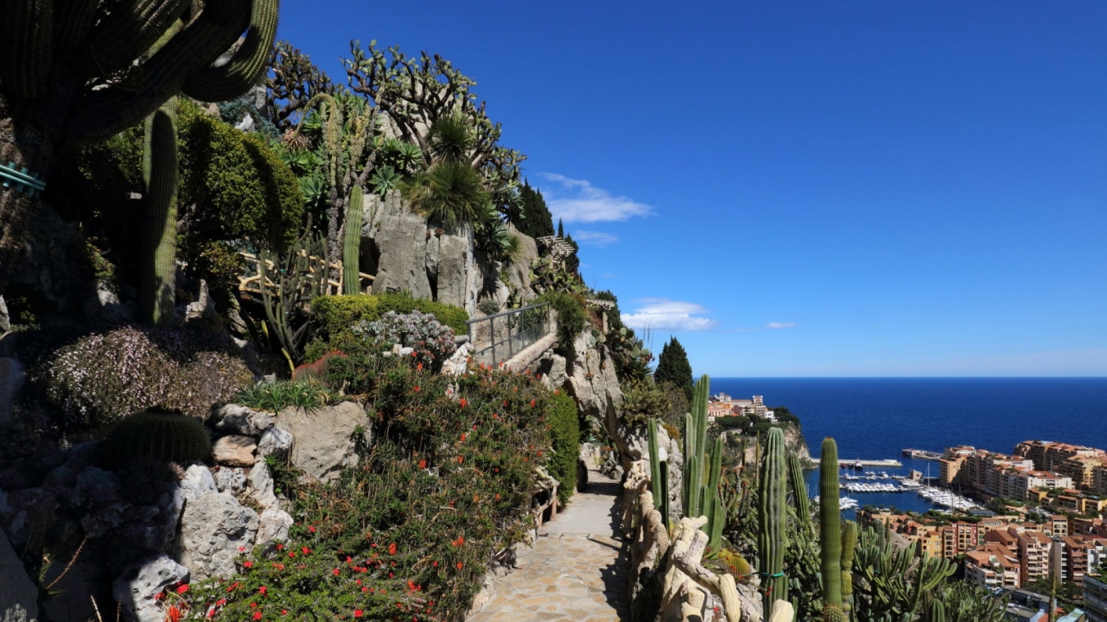 Giardino Esotico