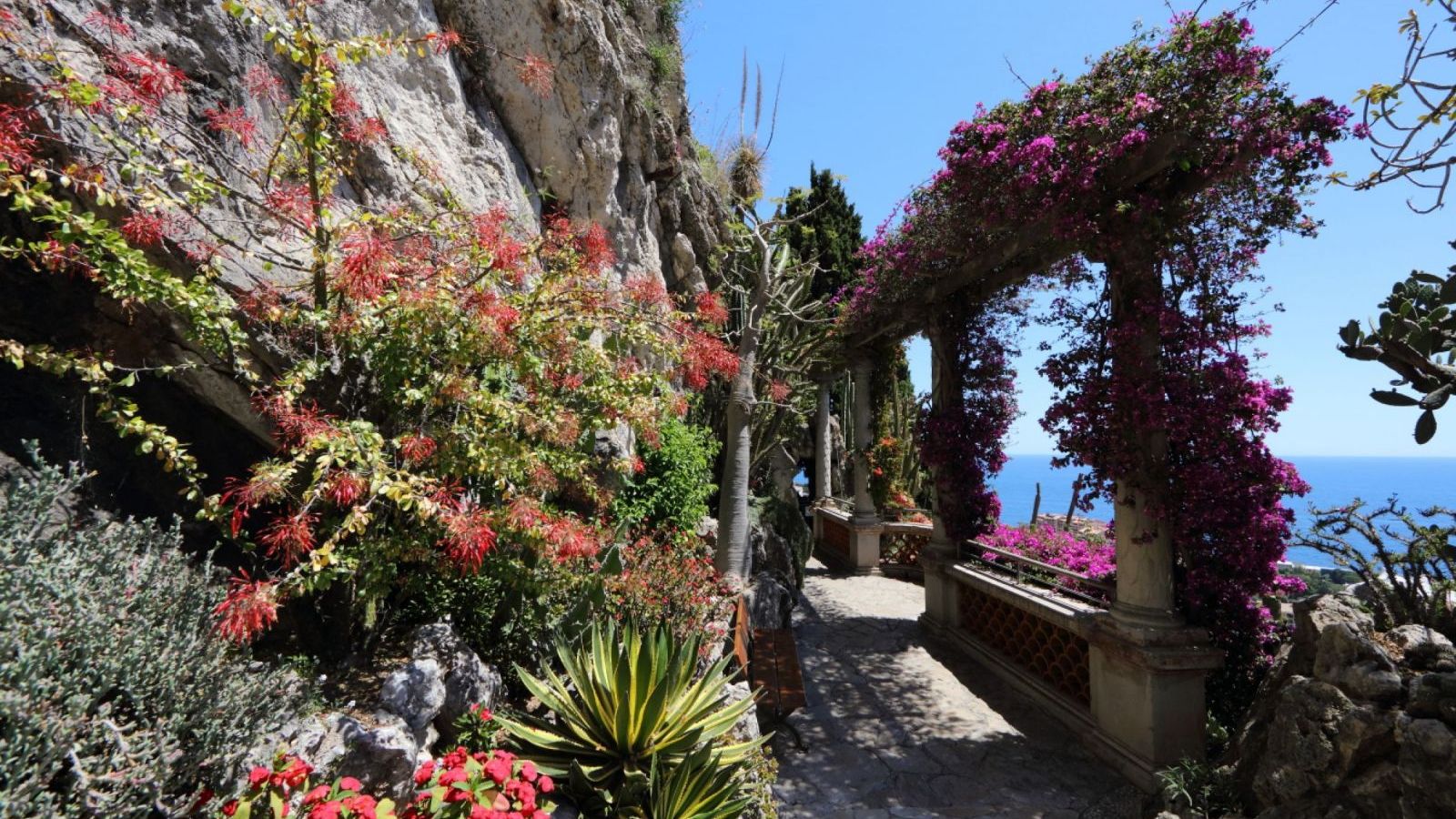 Giardino Esotico